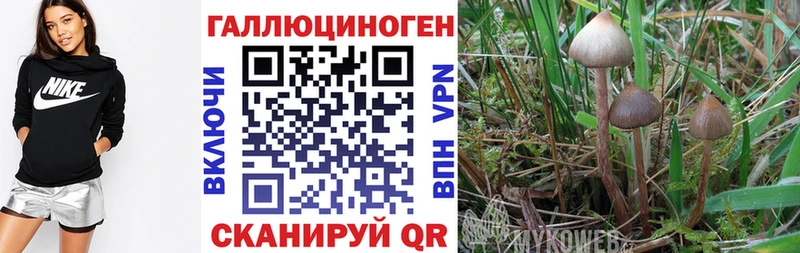 Галлюциногенные грибы мухоморы  Болхов 